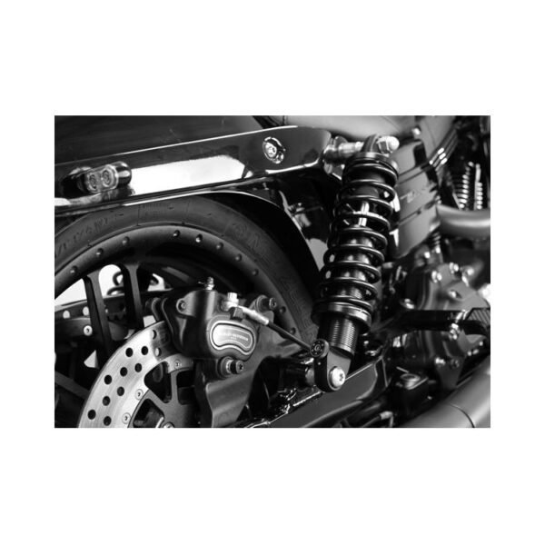 Adjustable Up Side Down Front Fork R2-Series (42MM)